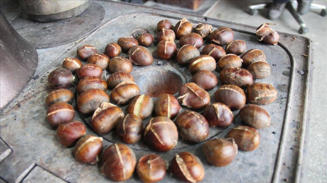 Pişince köpürüyorsa sakın yemeyin! Gerçek kestane nasıl anlaşılır? 11